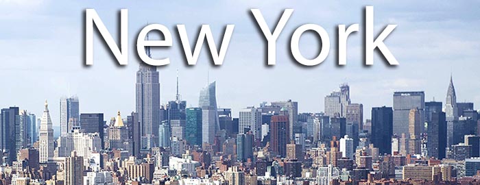 New york businesses